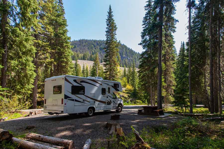 Furgón caravana en un bosque